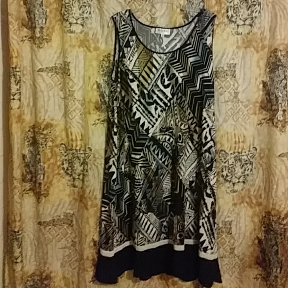 🔥 studo l dress zebra prints never worn